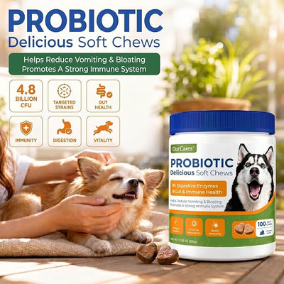 Probiotics for Dogs – Probiotic Chews with 4.8 Billion CFU, Digestive Enzymes & Pumpkin | Dog Gut Health Supplement for Diarrhea, Gas & Sensitive Stomach | Soft Chews for Senior Dogs