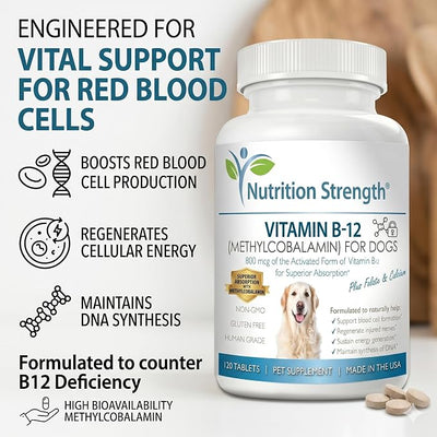 Vitamin B12 for Dogs Plus Folate & Calcium, Support the Nervous System & Blood Cell Formation, Help Sustain Cellular Energy Generation & Maintain DNA Synthesis, 120 Chewable Tablets
