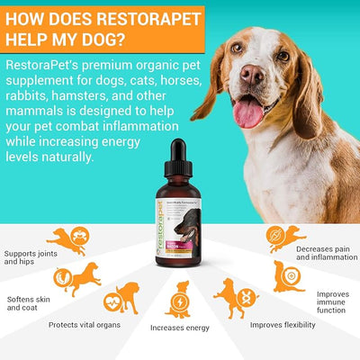 RestoraPet 4-Pack Dog & Cat Bacon Flavor Liquid Multivitamin | Arthritis Pain Relief | Hip & Joint Supplement for Dogs & Cats - Anti Inflammatory | Natural & Non-GMO, Science Backed