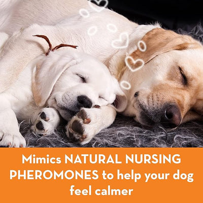 ThunderEase Dog Calming Pheromone Diffuser Refill,Powered by ADAPTIL,Vet Recommended to Relieve Separation Anxiety,Stress Barking& Chewing,and The Fear of Fireworks & Thunderstorms 60 Day,(Pack of 2)