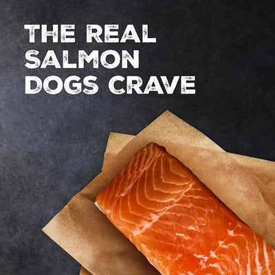 Blue Buffalo Wilderness Trail Treats Salmon Crunchy Dog Biscuits, Grain-Free & High-Protein, Bite-Sized Training Treats Made with Real Salmon & Natural Ingredients, 24-oz Bag