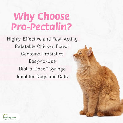 Vetoquinol Pro-Pectalin - Supports Digestive System & Stool Firmness for Dogs & Cats - Probiotic Supplement for Intestinal Support - For All Breeds - 30cc (Pack of 2)