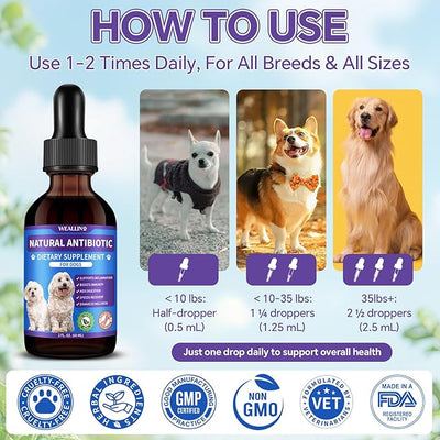 Dog Antibiotics Support - Natural Antibiotics Care for Dogs Herbal Supplement for Cough Allergy Itch Relief Immune Support Dog UTI Comfort for All Breeds & Ages - 60 ml/2 Fl Oz Bacon Flavor