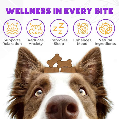 Hemp Calming Chews for Dogs Anxiety 60 pcs - Beef Flavored - Dog Anxiety Relief - Dog Calming Chews - Melatonin for Dogs - for Stress, Travel, Check-up, Barking or Grooming - Dog Calming Treats