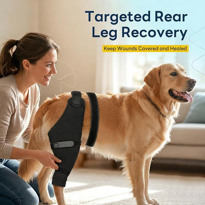 Dog Sleeve for Rear Legs to Stop Licking, Upgraded Recovery Sleeve for Hind Back Leg Wounds,TPLO, ACL Surgery, Light Comfortable Cone Alternative,Right,XL,Dark