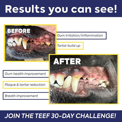 TEEF for Life Protektin42 Prebiotic Dog Dental Powder Refill - 90 Servings (3 Packets) Tasteless Natural Water Additive for Dogs, Teeth Cleaning, Bad Breath, Tartar & Plaque Remover, 4-Ingredients