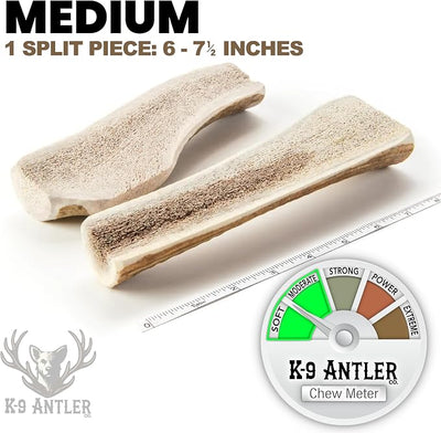 Elk Antlers for Dogs – Medium Split (6-7.5 Inch), Irresistible Chew, USA Sourced, Naturally Shed & Ethically Harvested