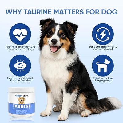 Doggy Supps Taurine for Dogs, Taurine Supplement for Dogs, Immune Support, Boost Energy & Vitality, Skin & Coat Health for Heart, Vision & Daily Wellness, 200 Grams (1)