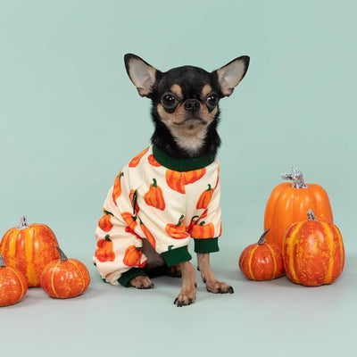 Fitwarm Pumpkin Dog Pajamas, Thanksgiving Outfit for Small Dogs Boy Girl, Fall Pet Clothes, Beige, Orange, Green, XXL