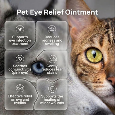 Pet Eye Cream – Vet-Formulated Dog Eye Infection Treatment, Pink Eye Relief, Conjunctivitis Relief, Dry Eyes & Red Eye, Tear Stain Remover for Dogs, Cats, Cattle, Sheep, Horses – 1 Tube