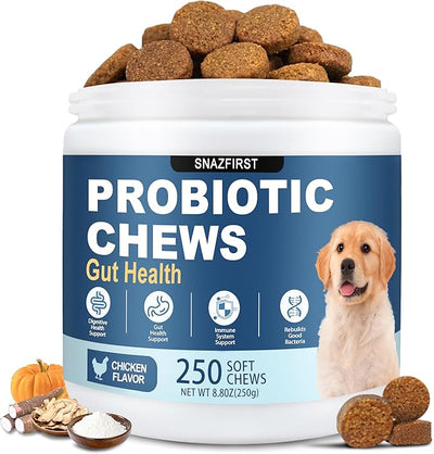 Probiotics for Dogs, Dog Probiotics Chews for Digestive Health &Gut Health | Improve Immune System,Constipation Diarrhea Relief, 6 Billion CFU Multi-Strain,Pumpkin,Full Enzymes,250 chews Chicken Flavor