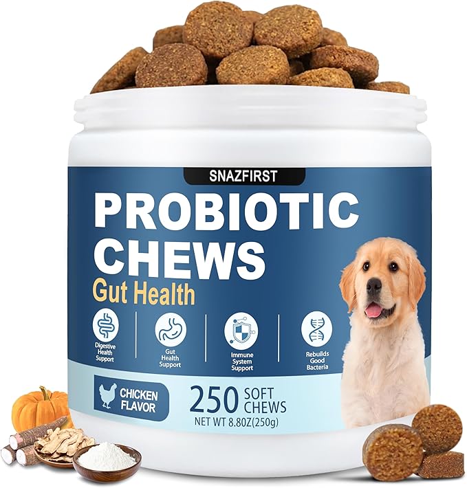 Probiotics for Dogs, Dog Probiotics Chews for Digestive Health &Gut Health | Improve Immune System,Constipation Diarrhea Relief, 6 Billion CFU Multi-Strain,Pumpkin,Full Enzymes,250 chews Chicken Flavor
