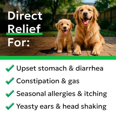 Bark&Spark Vet Strength Dog Probiotics Chews - 60 Billion CFU per jar - Digestive Enzymes for Dogs Gut Health - Chewable Supplement for Diarrhea, Gas, Constipation, Upset Stomach Relief (120 Ct)