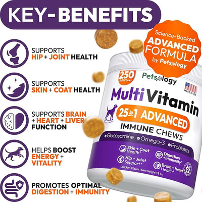 25-in-1 Dog Vitamins and Supplements - 250 Chews Dog Multivitamin Chewable with Glucosamine, Probiotics Omega 3 for Dogs Skin & Coat Hip & Joint Gut Brain Immune Support - Senior & Puppy Multivitamin