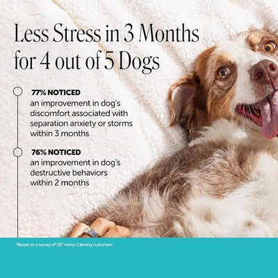 Natural Hemp Dog Calming Chews for Occasional Anxiousness & Stress - Calming Treats for Thunderstorms, Fireworks, Separation & Travel - with Ashwagandha, L-Theanine, Valerian Root (Beef Liver, 90 Ct)