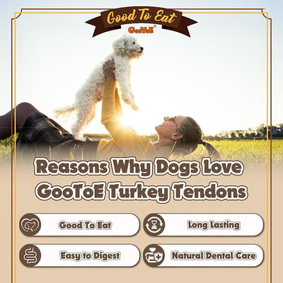 Gootoe Turkey Tendons for Dogs – All-Natural, Hypoallergenic Dog Treats, Rawhide Alternative, Long Lasting Puppy Chews, Healthy Dog Treats for Small Breeds, Strips, 1 lb (Pack of 2)