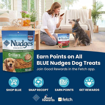 Blue Buffalo Nudges Homestyle Natural Beef and Rice Dog Treats (Pack of 4)
