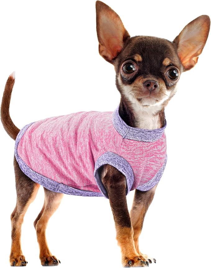 Chic Ion Polyester Dog Vest: Adorable Fashion Apparel for Small, Medium, and Large Breeds, Moisture-Wicking, Soft, Anti-Static, Durable, and Easy-to-Clean Design - Pink 2XL