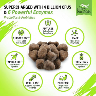Deley Naturals Dog Probiotics Chews - 4 Billion CFU Dog Probiotics, Prebiotics, Enzymes for Digestion & Gut Health - Smaller Soft Chews, Lower Calories, Same Active Ingredients - USA Made - 60 Count