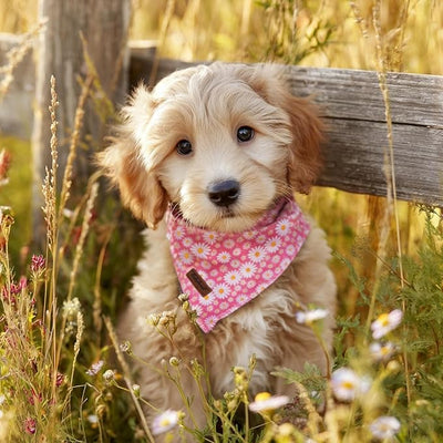 Spring Dog Bandanas Girl Pink Daisy Cotton Washable Comfortable Triangle Dog Scarf Adjustable Pet Bib Kerchief for Small Medium Large Dogs L