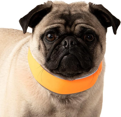 CoolerDog Hi-Vis Cooling Dog Collar for Small Dogs – Reflective Re-Freezable Ice Collar for Hot Weather & Heat Relief (Orange, Small)