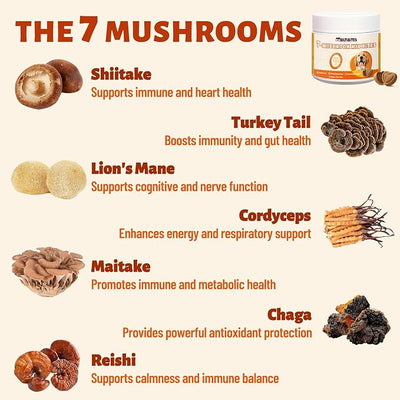 Mushroom Supplement for Dogs - Supports Antioxidant & Immune Defense, Gut, Skin, Joint & Urinary Tract Health, 7-Mushroom Complex (Turkey Tail, Lion's Mane, Reishi & 4 Others) – 330 Chews