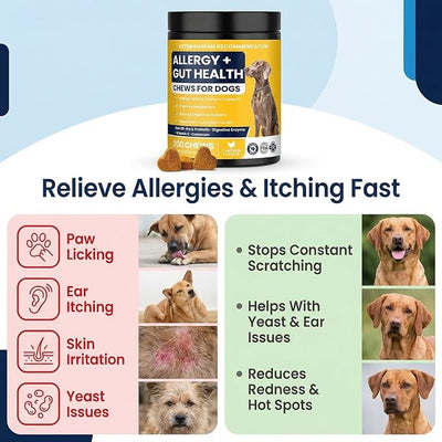 Dog Allergy Chews for Dogs, Itchy Skin & Paw Licking Support, Probiotics for Dogs, Immune & Gut Health, Seasonal Allergy Support, Skin & Coat Health, Chicken Flavor Soft Chews, 200 Ct