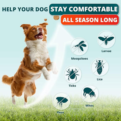 Flea and Tick Prevention for Dogs Chewables - Natural Dog Flea and Tick Treatment - Oral Control Pills - Vet Recommended Supplement - Skin & Coat Support Soft Chews - All Breeds & Sizes Made in USA