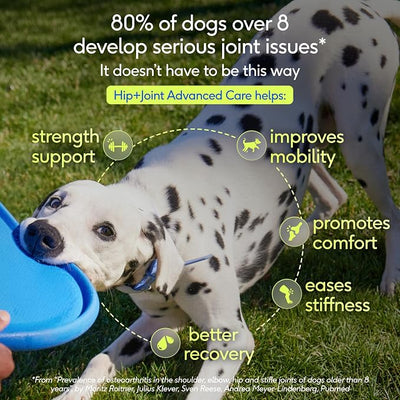 Native Pet Hip & Joint Advanced Care Dog Joint Supplement Powder for Mobility & Movement Support, Joint Supplement for Dogs with HMB, UC-II Collagen, Green Lipped Mussel & Hyaluronic Acid – 120 Scoops