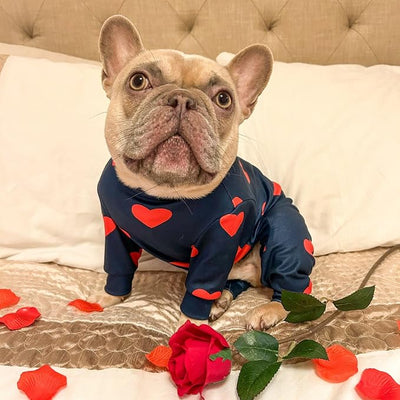 Spark Paws Dog Pajama, Dog Recovery Suit Male, Onesie, Ultra-Soft and 4-Way Stretch, for Small Medium and Large Breeds - Hearts - L