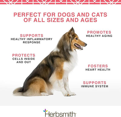 Herbsmith Pure Krill - Wild-Caught Antarctic Krill - Just 1 Ingredient - Astaxanthin for Dogs - Ready-to-Use Omega 3s – Alternative to Krill Oil for Dogs - 75g