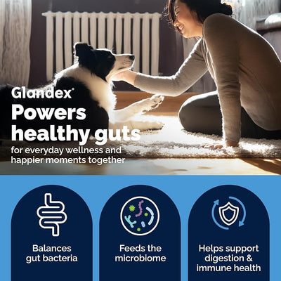 Vetnique Glandex Dog Probiotic Chews, Daily Probiotics for Dogs 5 Strains, Prebiotics & Digestive Enzymes for Gut & Immune Health, Vet Formulated for Occasional Diarrhea (30ct Chews, Probiotic Chews)