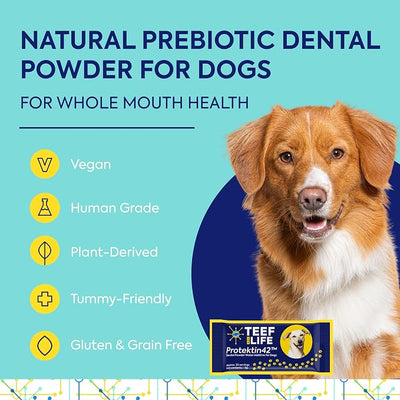 TEEF for Life Protektin42 Prebiotic Dog Dental Powder Refill - 30 Servings (1 Packet) Tasteless Natural Water Additive for Dogs & Puppies, Teeth Cleaning, Bad Breath, Tartar & Plaque, 4-Ingredients