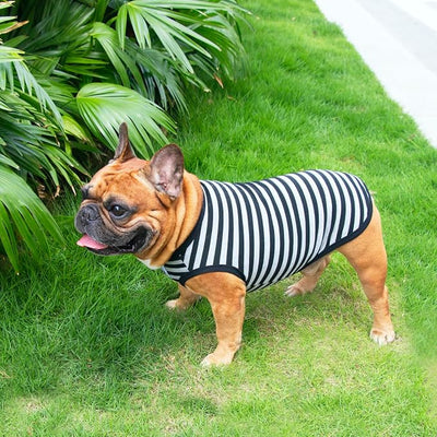 iChoue 4pcs French Bulldog Striped Shirts 100% Breathable Cotton Tank Tops Vests Clothes for Frenchie Dogs, Black Green Red Yellow, Medium