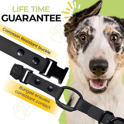 eCollar Replacement Strap Bungee Style - Waterproof Collar Compatible with Garmin, Dogtra, SportDOG, Educator (Blue, 3/4")
