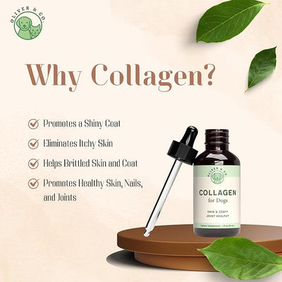 Collagen for Dogs - Dog Collagen - Supports Joint Health, Skin & Coat Health, & Much More - May Help Reduce Redness & Itching - Itch Relief for Dogs - Dog Skin and Coat Supplement - 1 fl oz
