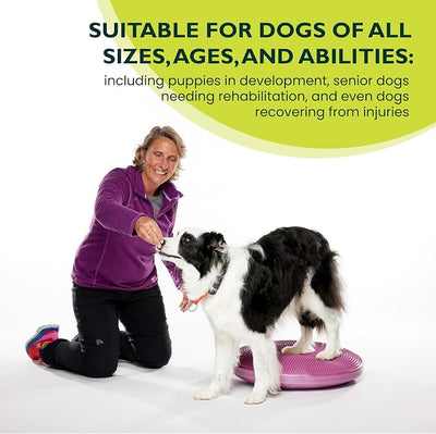 FitPaws® Dog Balance Disc – 22”, Razzleberry | Dog Exercise Equipment | Workout Tool for Strength, Core, Stability & Rehabilitation