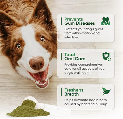 Dog Teeth Cleaning Powder - Fortify Dental Powder for Dogs - Plaque Remover and Freshens Bad Breath with Fresh Green Supplements - Contains Kelp, Probiotics, and Other Tooth Cleaning Ingredients