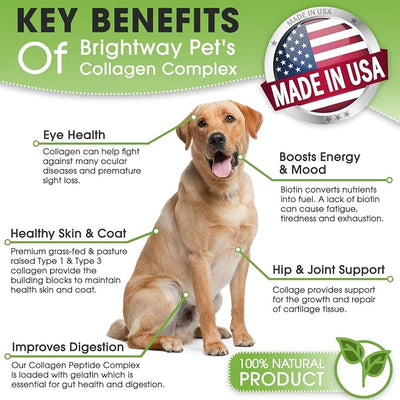 K9 Collagen PEPTIDE Complex W/BIOTIN - Hip & Joint Supplement for Dogs- Supports Healthy Joints, Skin & Coat – Helps in Recovery & Repair– 3+ Months Supply - Over 114 Servings!