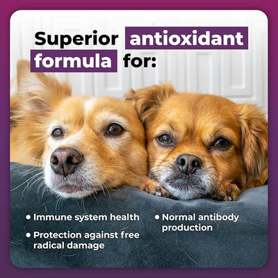 VetriScience Immunity Health Easy-Open Capsules, Immune Plus Supplement for Medium and Large Breed Dogs, Cell Advance Immune and Allergy Support with Antioxidants, Hypoallergenic Formula, 60 Count