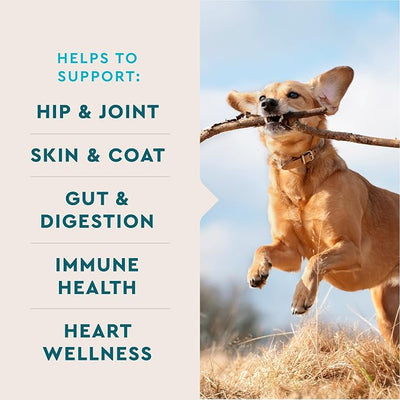 VetIQ Multivitamin Supplement for Dogs, Supports Active Brain Function, Immune System, and Digestive System, Hickory Smoke Flavored Dog Multivitamin, Made in The USA, 90 Count