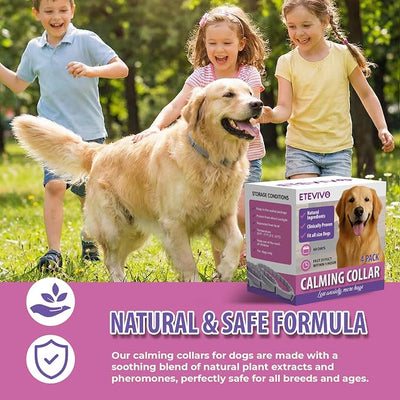 Calming Collar for Dogs 4 Pack – Dog Pheromone Collars Anxiety Relief, Stress & Separation – 25 Inches Adjustable Fits Small Medium Large Dogs – Long Lasting 60 Days, Helps Reduce Bad Behavior