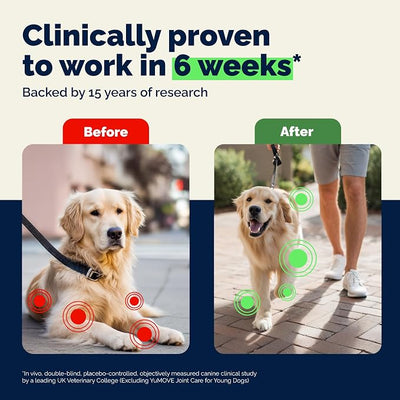 YuMOVE Dog Hip & Joint Supplement, Regular or Advanced Strength - ActivEase Green Lipped Mussel, Glucosamine, Hyaluronic Acid & Omega 3 - Chewable Tablets (60ct Chewable Tablets, Regular Strength)
