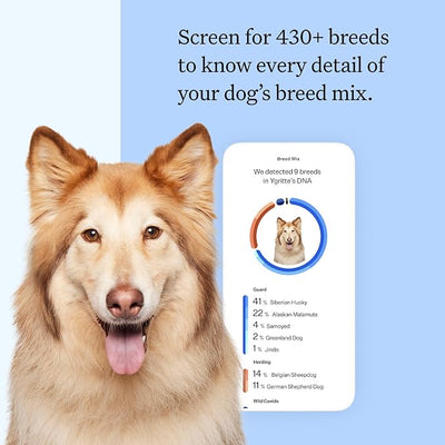 Wisdom Panel Breed Discovery Dog DNA Testing Kit - Most Accurate Dog Breed Identification - Test for 430+ Breeds, MDR1 Health Test, Ancestry, Relatives