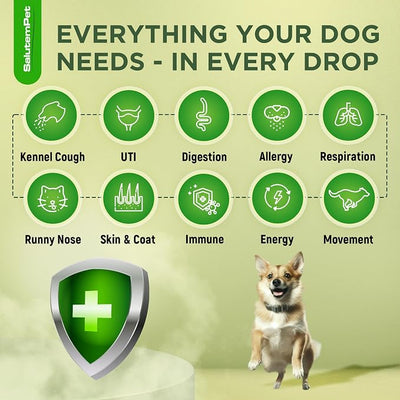Natural Antibiotics for Dogs and Puppies – Antibiotics for Dogs of All Ages – Herbal Ingredients – Helps with Allergies and UTIs – for Balanced Digestion – Joint Care – Bacon Taste – 2 Oz