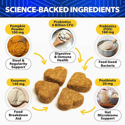 Advanced Probiotics for Dogs for Gut & Digestive Health, Seasonal Allergies & Itchy Skin, Yeast Balance - 6 Billion CFU - Dog Probiotics - Without Yeast - w/Prebiotics, Enzymes, Pumpkin - 120 Treats