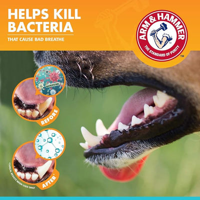 Arm & Hammer for Pets Fresh Breath Dog Dental Kit, Toothpaste, Toothbrush, and Finger Brush, Baking Soda Enhanced, Reduces Plaque and Tartar, Vanilla Ginger Flavor, 2.5 Oz - 72 Pack