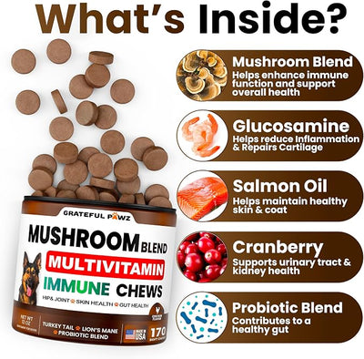 Turkey Tail Mushroom Supplement for Dogs - 170 Chews - Mushrooms for Dogs - Reishi, Lion’s Mane, Glucosamine Multivitamin - Immune Booster, Gut, Hip & Joint Health Support Vitamins, Energy & Skin