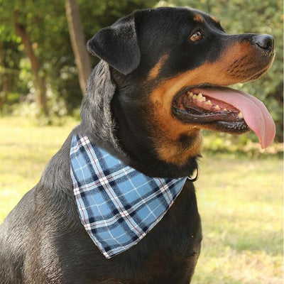 Classic Plaid Dog Bandana - Adjustable Triangular Scarf, Soft Cotton, Pet Fashion for Daily Walks & Parties,Blue and White Large