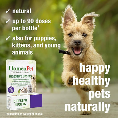 HomeoPet Digestive Upsets, Safe, Gentle, and Natural Dog and Cat Digestive Support, 15 Milliliters